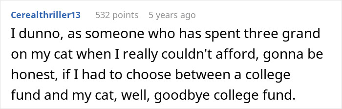 Screenshot of a Reddit comment discussing spending $3k from a college fund on a cat's surgery and teen refusal.