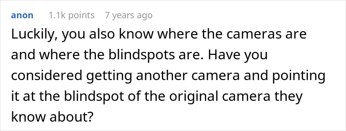 Comment about knowing camera blindspots and suggesting adding another camera pointed at the original blindspot for security.