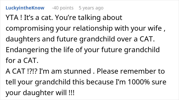 Pregnant Daughter Decides To Put Dad&rsquo;s Cat In A Shelter Because Of Her Baby&rsquo;s Safety, Gets Kicked Out