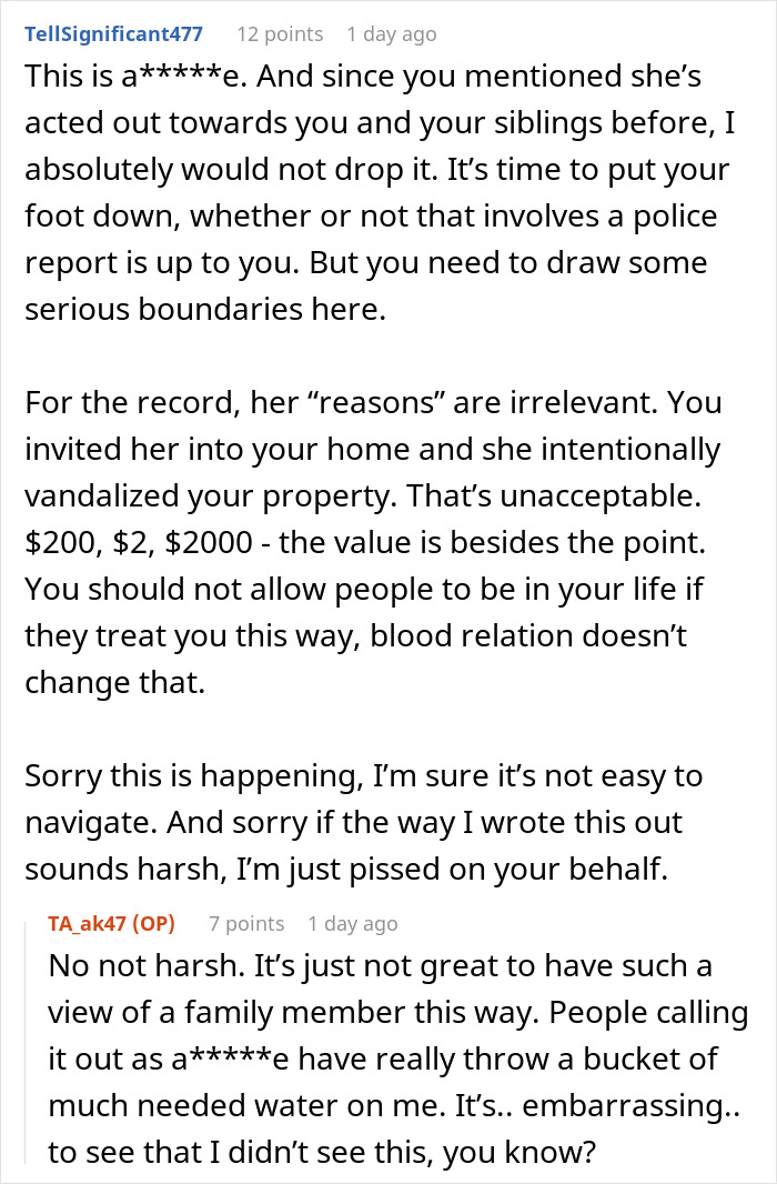 Reddit comments discussing woman deciding to destroy child&rsquo;s Christmas presents over sister&rsquo;s charity efforts.