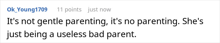 Screenshot of an online comment criticizing parenting style, mentioning gentle parenting and a sister in a house setting.