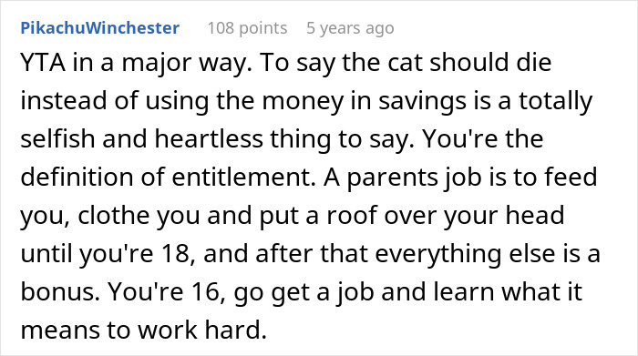 Screenshot of a Reddit comment criticizing parents for planning to use teen&rsquo;s college fund for cat&rsquo;s surgery, highlighting entitlement.