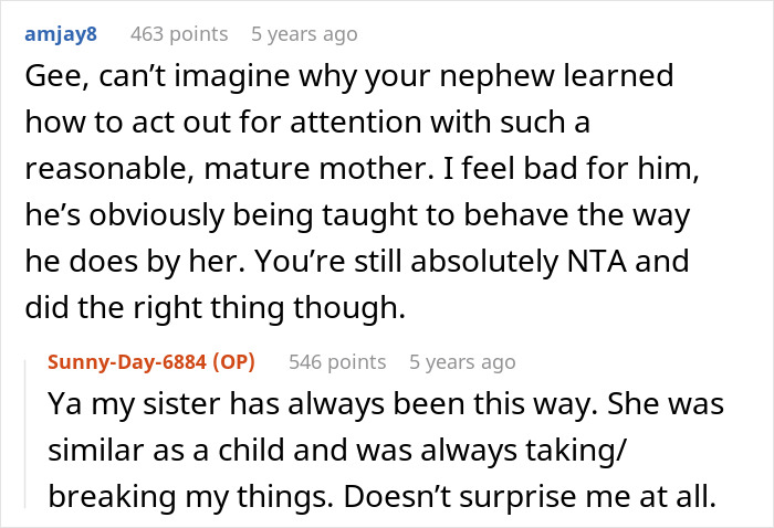 Reddit comments discussing a woman who took back her nephew&rsquo;s Christmas gift over his behavior issues.