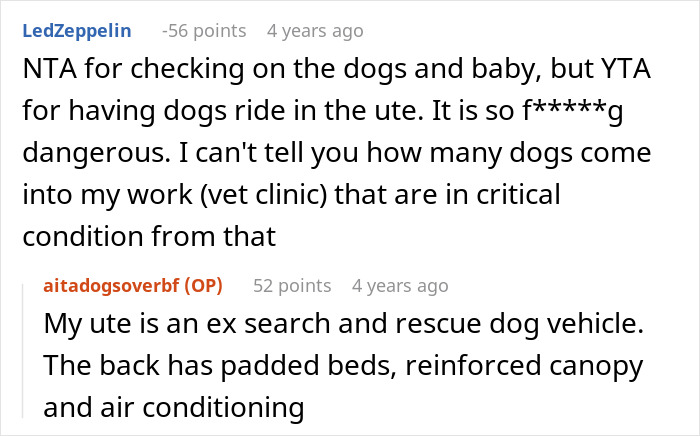 Screenshot of a Reddit conversation discussing a nurse girlfriend prioritizing dogs and a baby during a car crash.