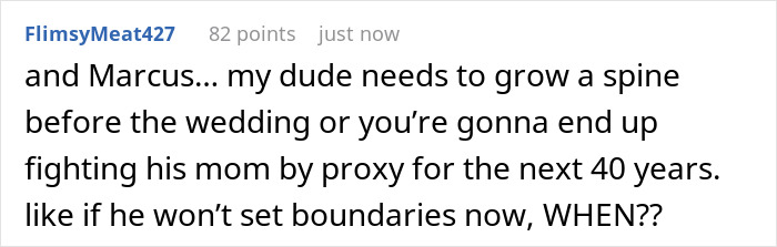 Screenshot of a Reddit comment discussing future MIL scheduling family events conflicting with the lady&rsquo;s work schedule.