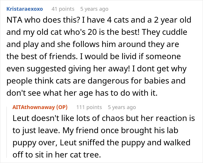 Pregnant Daughter Decides To Put Dad&rsquo;s Cat In A Shelter Because Of Her Baby&rsquo;s Safety, Gets Kicked Out