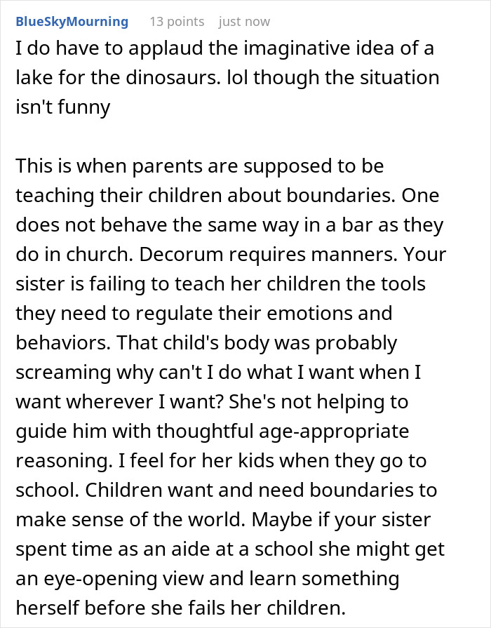 Comment discussing sister gentle parenting house, focusing on teaching children boundaries and emotional regulation.