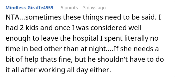 User comment emphasizing the reality check on being a stay-at-home mom, not meaning being a stay-in-bed mom.