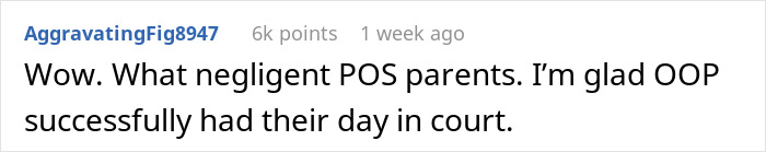 Comment text on a forum discussing kids using neighbor&rsquo;s yard without asking leading to injury and lawsuit.