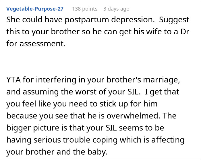 Text discussion about a woman making her sister-in-law cry with a reality check about stay-at-home moms.