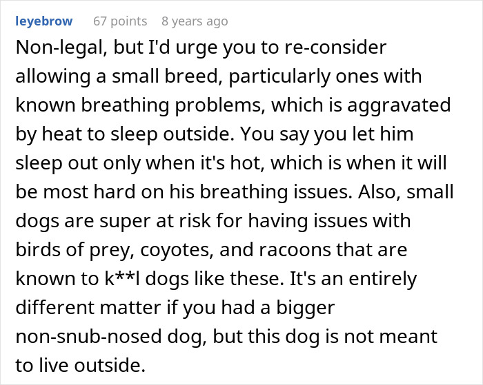 Comment warning about risks of letting small dogs with breathing issues sleep outside, relevant to stolen wife's dog sister-in-law.