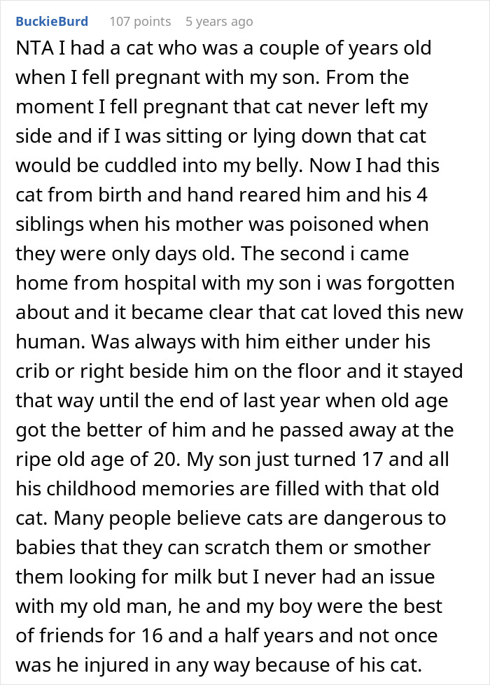 Pregnant Daughter Decides To Put Dad&rsquo;s Cat In A Shelter Because Of Her Baby&rsquo;s Safety, Gets Kicked Out