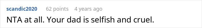 Screenshot of an online comment calling a dad selfish and cruel after ruining a daughter's Christmas memory.