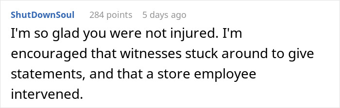 Comment on Reddit showing relief that no one was injured after a parking lot psycho attacked a man&rsquo;s car with a shopping cart.