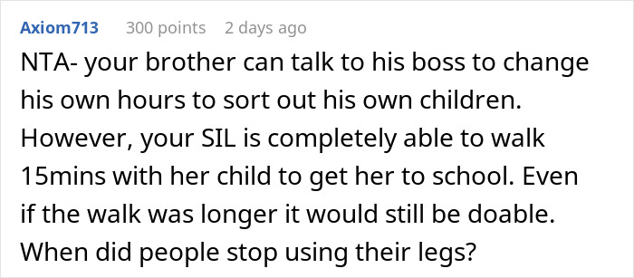 Comment discussing a woman refusing to take niece to school and sister-in-law causing family conflict online.