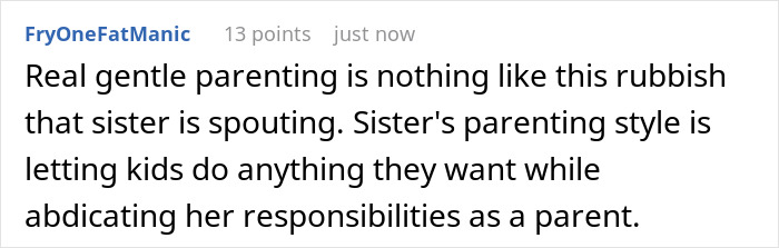 Comment criticizing sister&rsquo;s gentle parenting style, highlighting neglect of responsibilities in a parenting house context.