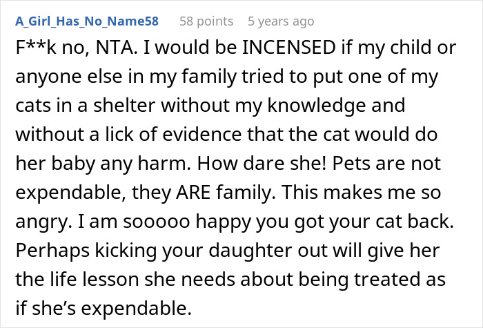 Pregnant Daughter Decides To Put Dad&rsquo;s Cat In A Shelter Because Of Her Baby&rsquo;s Safety, Gets Kicked Out