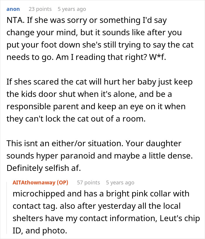 Pregnant Daughter Decides To Put Dad&rsquo;s Cat In A Shelter Because Of Her Baby&rsquo;s Safety, Gets Kicked Out