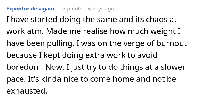 Comment about employee doing the roles of multiple people and deciding to stop overworking to avoid burnout.