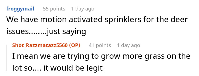 Text conversation about motion activated sprinklers for deer and efforts to grow more grass on the lot at early morning.