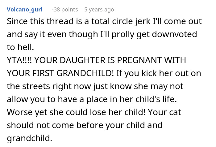 Pregnant Daughter Decides To Put Dad&rsquo;s Cat In A Shelter Because Of Her Baby&rsquo;s Safety, Gets Kicked Out