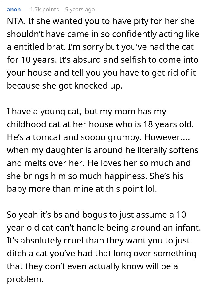 Pregnant Daughter Decides To Put Dad&rsquo;s Cat In A Shelter Because Of Her Baby&rsquo;s Safety, Gets Kicked Out