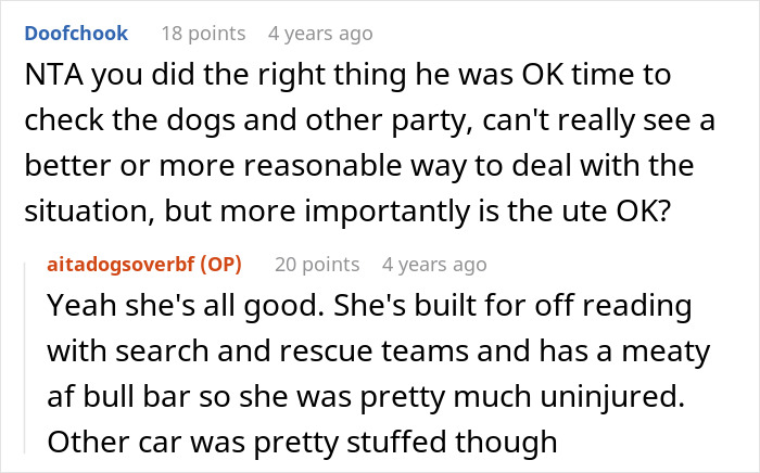 Reddit comments discussing a nurse girlfriend prioritizing dogs and a baby during a car crash situation.