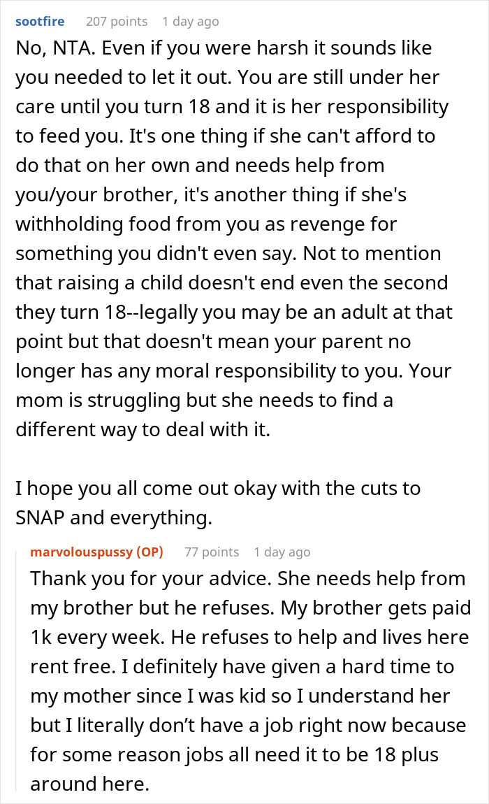 Reddit conversation discussing a 17-year-old calling out mom for retiring from parenting and kids buying their own food.