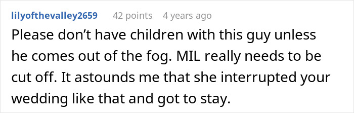 Reddit comment criticizing a mother-in-law’s behavior for disrupting a wedding and upsetting the son on his big day. Reddit comment criticizing a mother-in-law’s behavior for disrupting a wedding and upsetting the son on his big day.