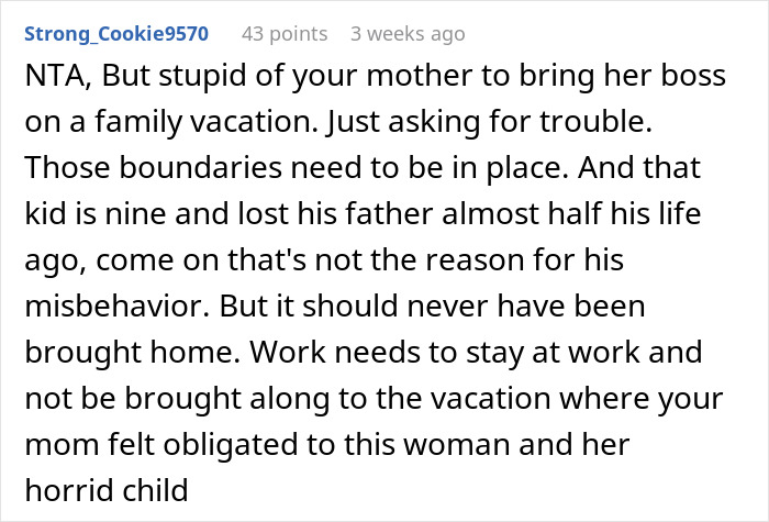 Reddit comment discussing teenager getting blamed for not stopping kid from running into traffic during family vacation.