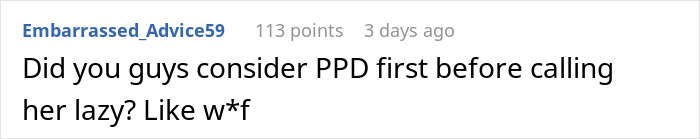 Reddit comment discussing the challenges of being a stay-at-home mom and misconceptions about laziness.