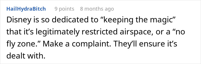 Screenshot of a Reddit comment discussing Disneyland security questions about a disabled woman with a service dog.