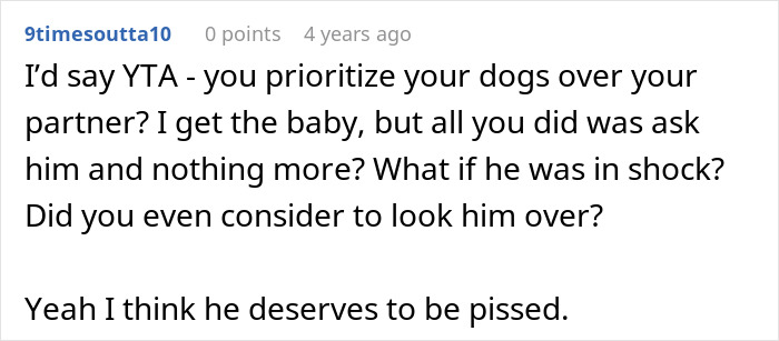 Comment showing upset reaction about nurse girlfriend prioritizing dogs and baby during car crash, causing conflict.