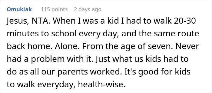 Screenshot of a Reddit comment about a woman refusing to take her niece to school, sparking family-wide conflict.