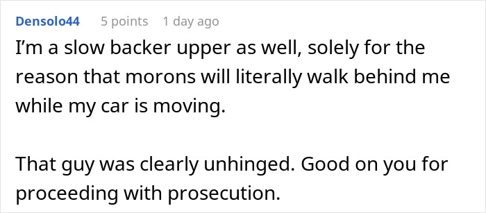 User comment about parking lot psycho attacking a man's car with a shopping cart, describing slow backing up for safety.