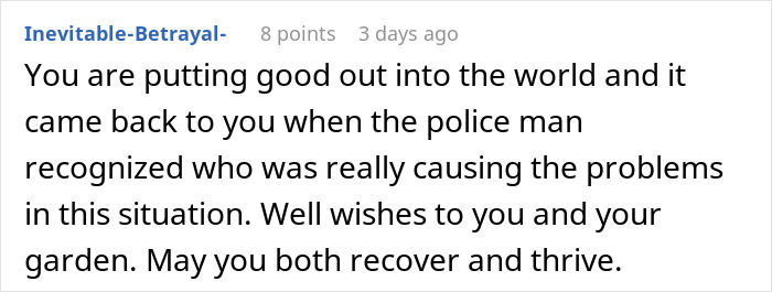 Online comment praising woman&rsquo;s unexpectedly savage revenge on petty neighbor and wishing recovery and peace.