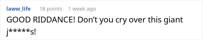 Screenshot of a social media comment expressing a harsh reaction related to a man upset his girlfriend dumped him after his ex intervened.