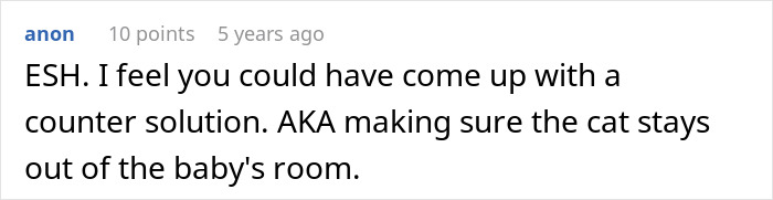 Pregnant Daughter Decides To Put Dad&rsquo;s Cat In A Shelter Because Of Her Baby&rsquo;s Safety, Gets Kicked Out