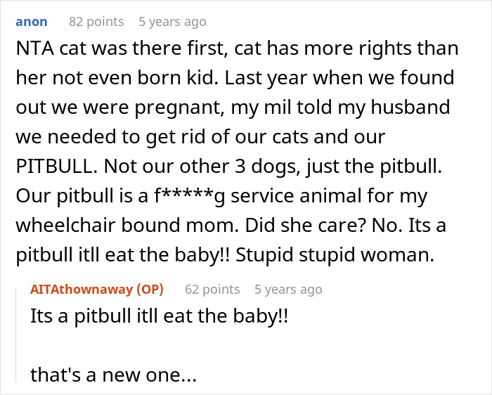 Pregnant Daughter Decides To Put Dad&rsquo;s Cat In A Shelter Because Of Her Baby&rsquo;s Safety, Gets Kicked Out