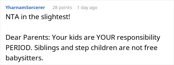 Comment about stepchildren not being free babysitters, emphasizing responsibility and boundaries in blended families.