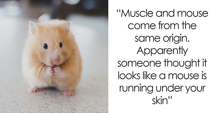 45 Fun Word Origins You Might Want To Drop Into Every Conversation