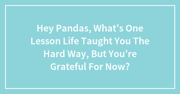 Hey Pandas, What’s One Lesson Life Taught You The Hard Way, But You’re Grateful For Now? (Closed)