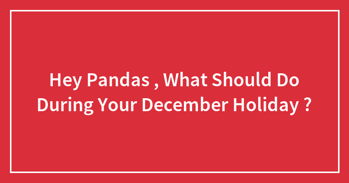 Hey Pandas, What Should You Do During Your December Holiday?