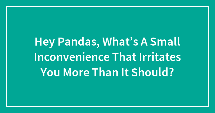 Hey Pandas, What’s A Small Inconvenience That Irritates You More Than It Should?