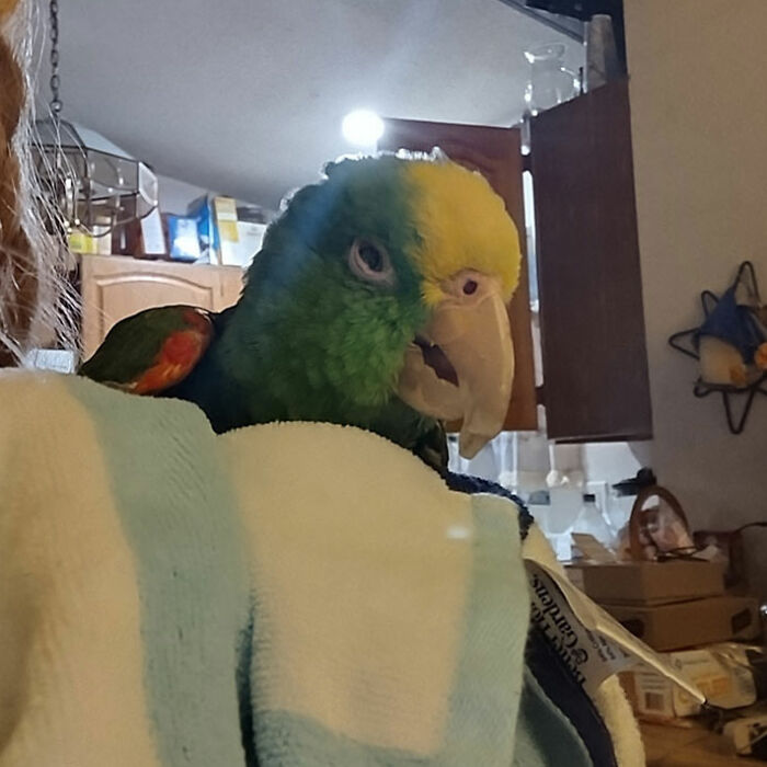 Hey Pandas, Show Us A Picture Of Your Oldest Kritter Kid(S)