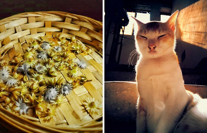 My 15 Captivating Pictures Of Independent Photography