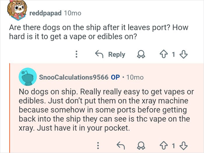 Cruise ship employees reveal behind the scenes details about rules on pets and bringing vapes or edibles onboard.