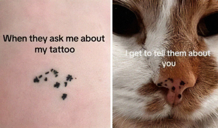 Close-up of cat nose tattoo and actual cat nose, paired with text about telling a story, perfect for cat memes fans.