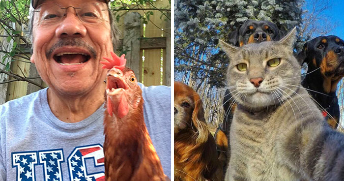 50 Funny And Wholesome Animal “Selfies” That Are So Good, They Could Be Album Covers