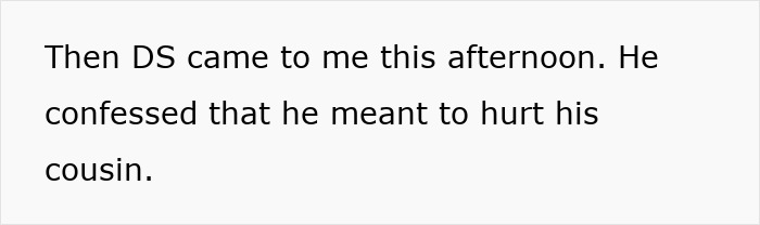 Text excerpt showing a confession about causing injury during a family visit leading to teen&rsquo;s sprain and c*****d ribs.